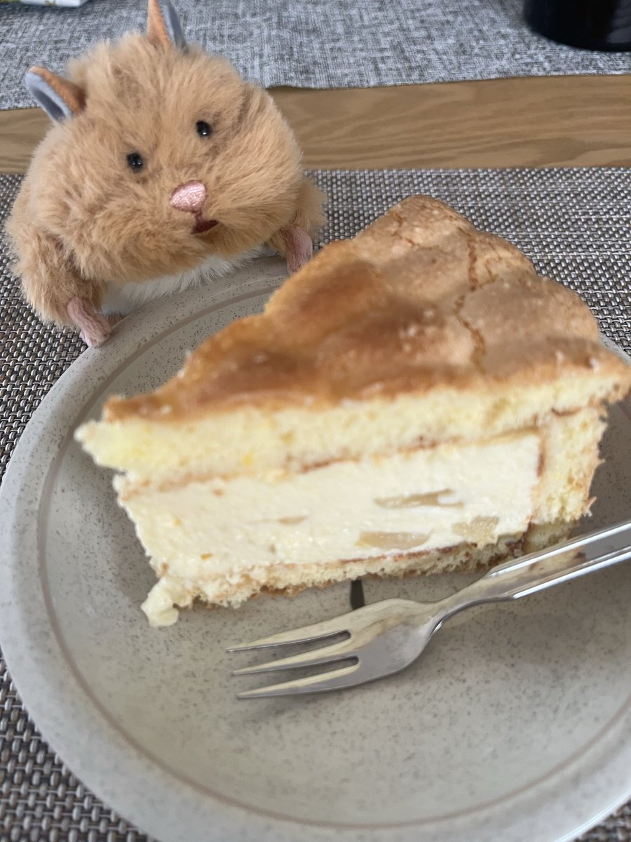 lumringo's tweet photo. ほわわ〜
 #はむにぎり https://t.co/qQb88VWSeH