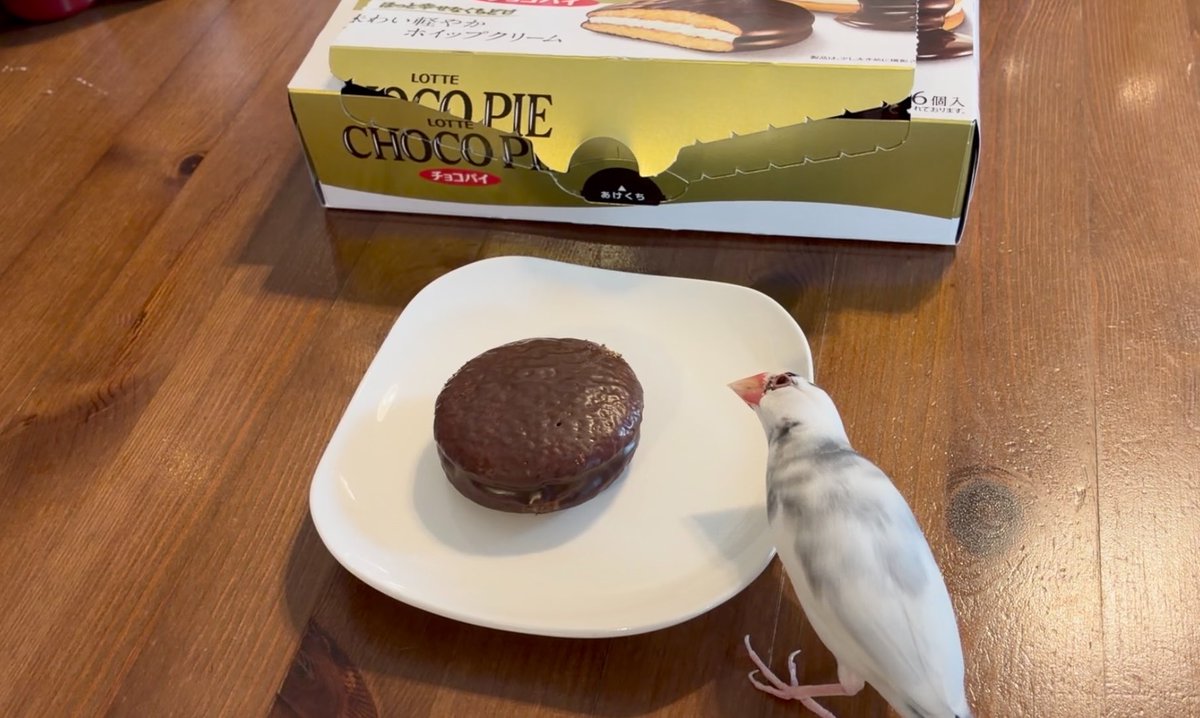 チョコパイさん 小さくなりましたか？