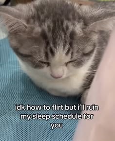 sillymeow4u's tweet photo. https://t.co/BraPjTECM3