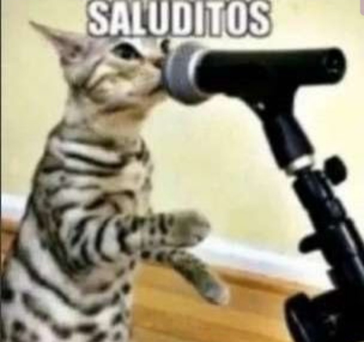 Blddygrave's tweet photo. @Ang3ll_St4r Omg si soy su fan https://t.co/JSOBNamzhF