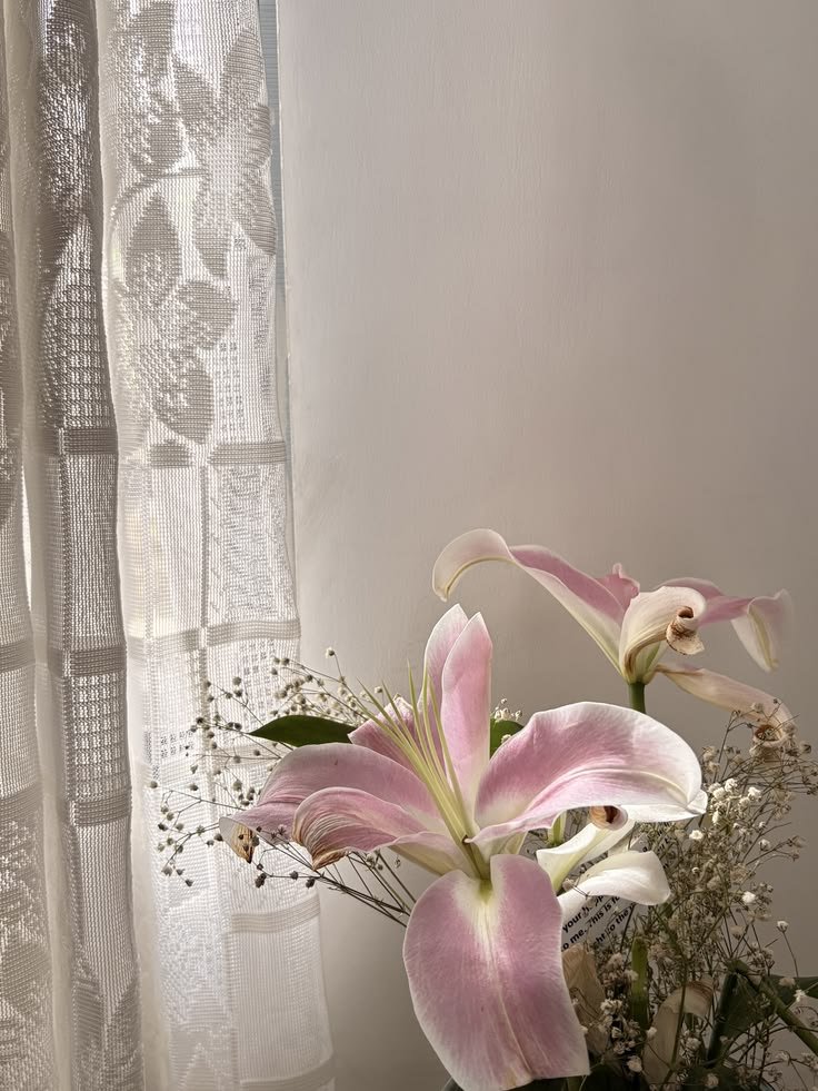 gardeniavibe's tweet photo. https://t.co/fKPIQr1RTc