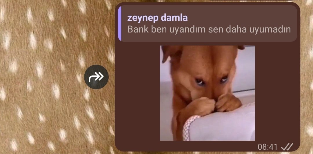 vaiilantte's tweet photo. bizim uyku duzeninin geldigi son nokta https://t.co/EYFDyw0nOE