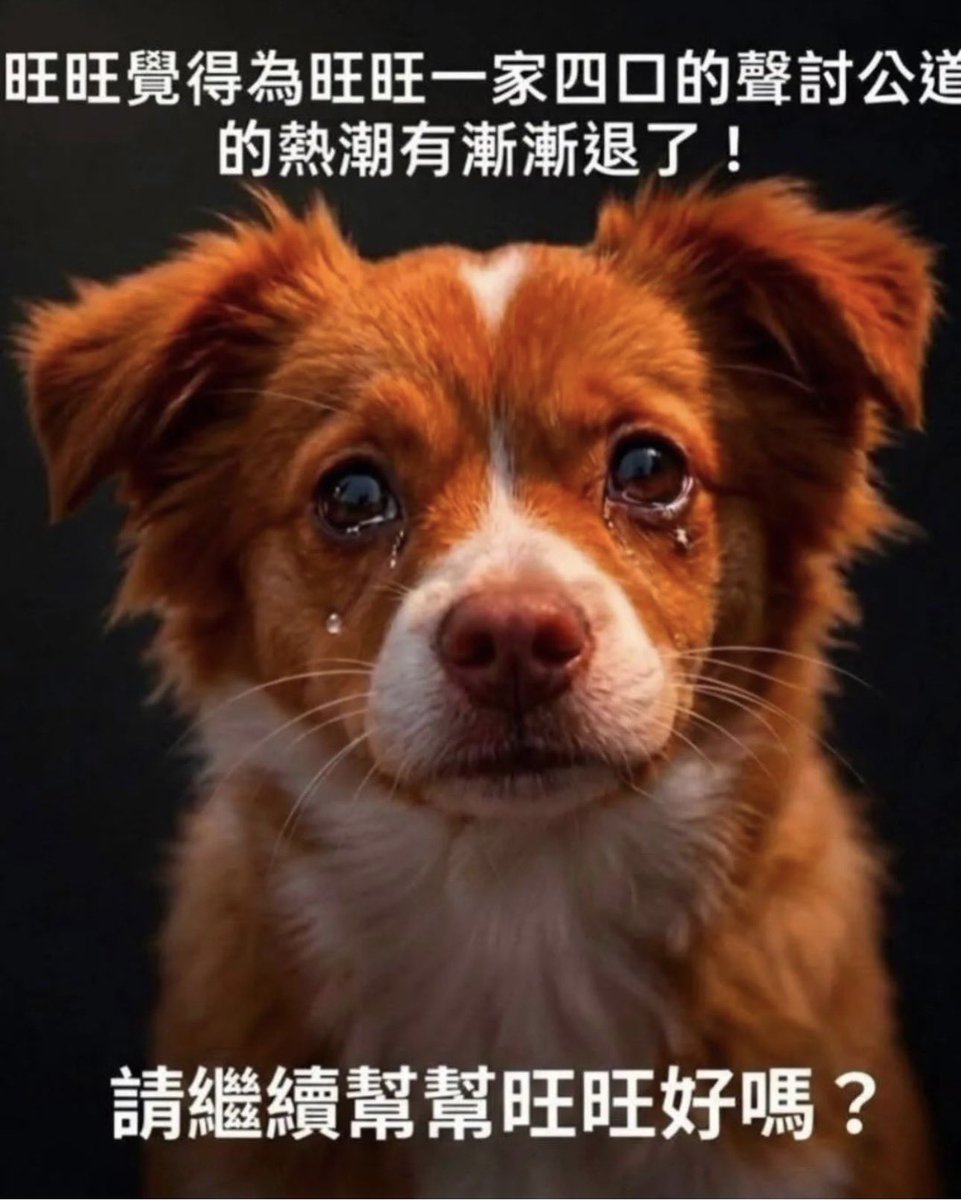 HongKongJustice's tweet photo. We asked for justice from China 🇨🇳 https://t.co/8oscLnPKKN