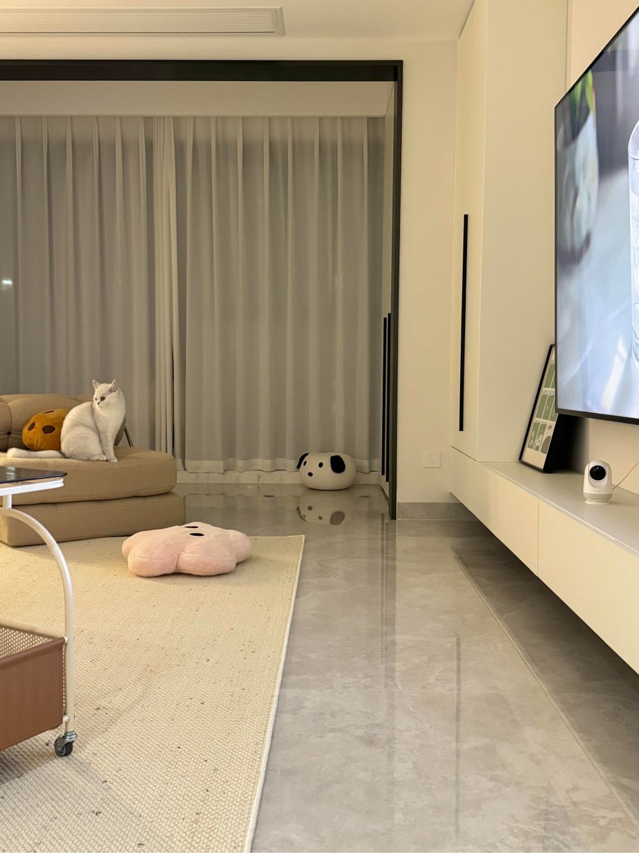 ismais2002's tweet photo. Just caught a whiff of freshly mopped floors and my cat’s napping on the still-damp hallway rug—domestic win level: cozy! https://t.co/iJLIwmXruo