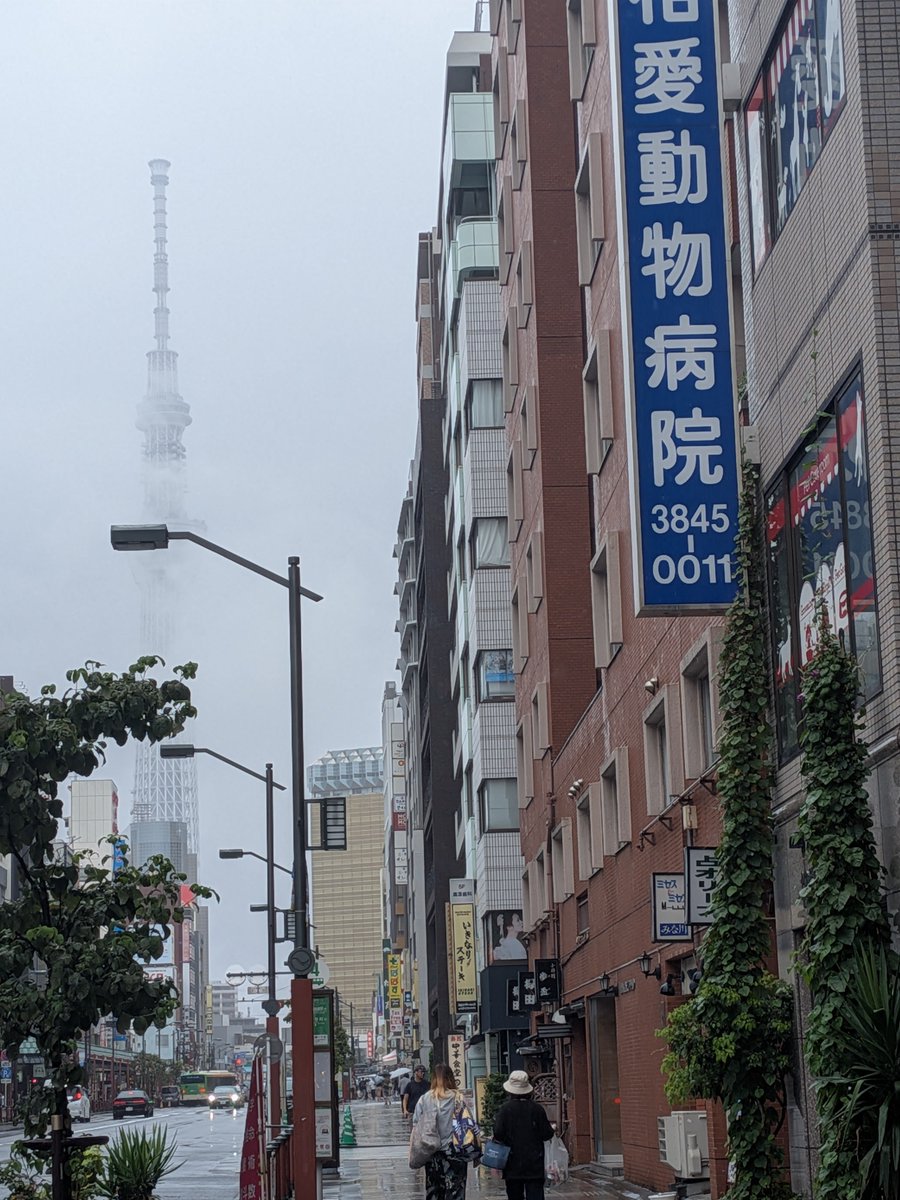 m_uou_'s tweet photo. バイト合間にお散歩☔🍠꙳⋆ https://t.co/yLryYWmugs