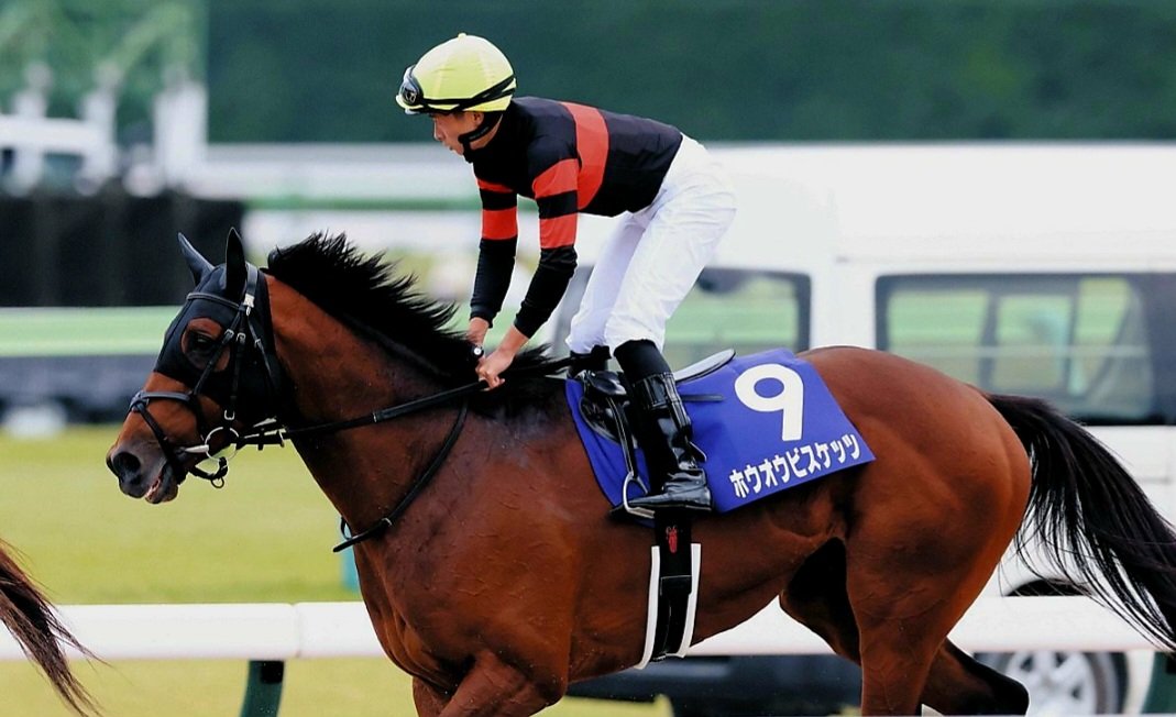 shigerugachi27's tweet photo. ★今日の競馬★
#札幌記念
#ホウオウビスケッツ

ここ4走は
いずれも二桁着順🌀
緩やかに
ピークアウトは
否めないが😅

昨年1番人気、秋天2着
実績では譲れない

行くのは
サクラファレルぐらい

展開面と
低調メンバー

自分の競馬に
持ち込み
イワータ得意の
ヤキソバ追いで⚔️ https://t.co/yDlyOPGL49