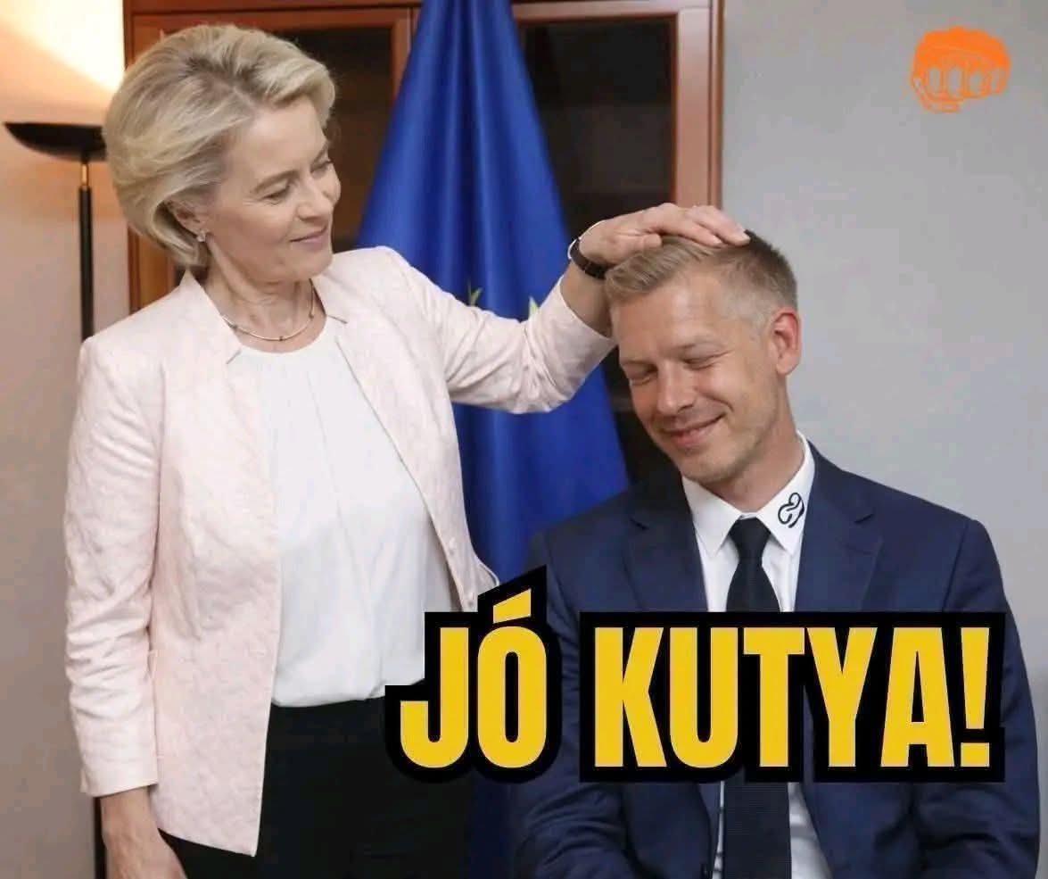 BabikaX68's tweet photo. @BalazsOrban_HU Ezektől a brüsszelből kézi vezérelt MP féle ügynökkormány-tagoktól mi mást lehet várni? ...csak a hazugságokat...csak az alkalmatlan b@lf@szságukat ! https://t.co/MQdU8j0FIy