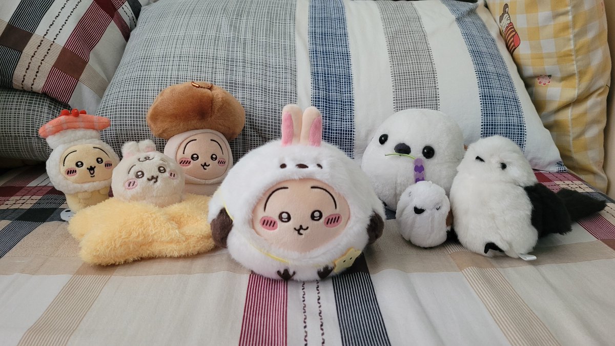 twiggiechan's tweet photo. #ちいかわ
シマエナガうさぎを迎えた
どっちの方が仲間なの？

🐰「ハァ！？」 https://t.co/1iUZfD6eo3