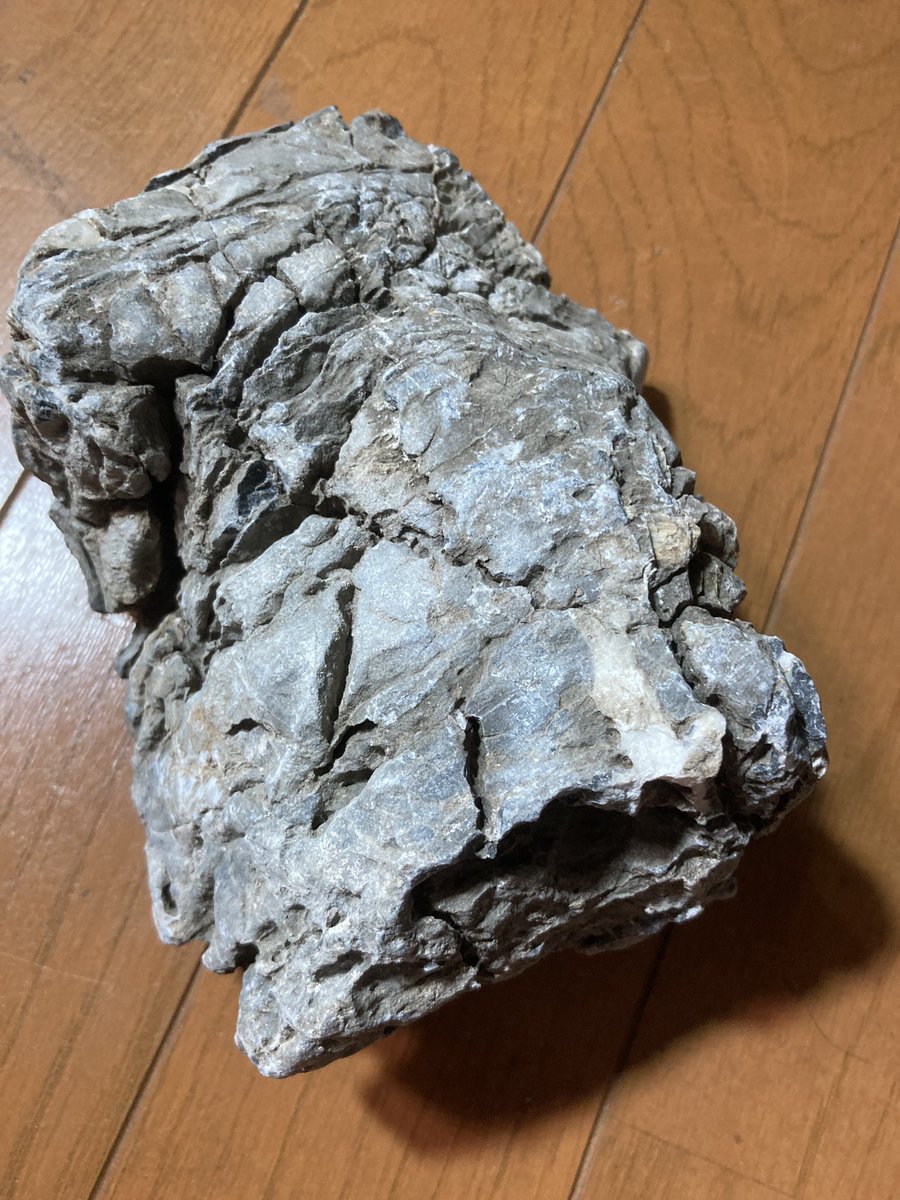 satoshinnosub's tweet photo. 某ショップのサマーセールで
#龍王石 2個を衝動買い。
大サイズ　写真　左上　右上
中サイズ　　　　左下
大が微妙な形でレイアウト決まらず。
硬度が凄そうなのでシステムテラ30で使おうかな🤔 https://t.co/Tdtaw4uXfR