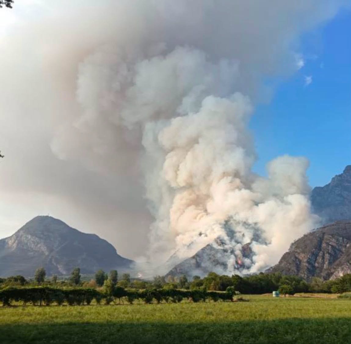 Italia24HLive's tweet photo. 🔥 Aggiornamento della Regione Friuli Venezia Giulia in merito alla situazione incendi.

Situazione più critica sul Monte Amariana, Cuel Feltron, Amaro, con una forte ripresa dell'incendio e si è espanso sul monte Amarianute, nel comune di Tolmezzo. https://t.co/qfHc5RcxF2