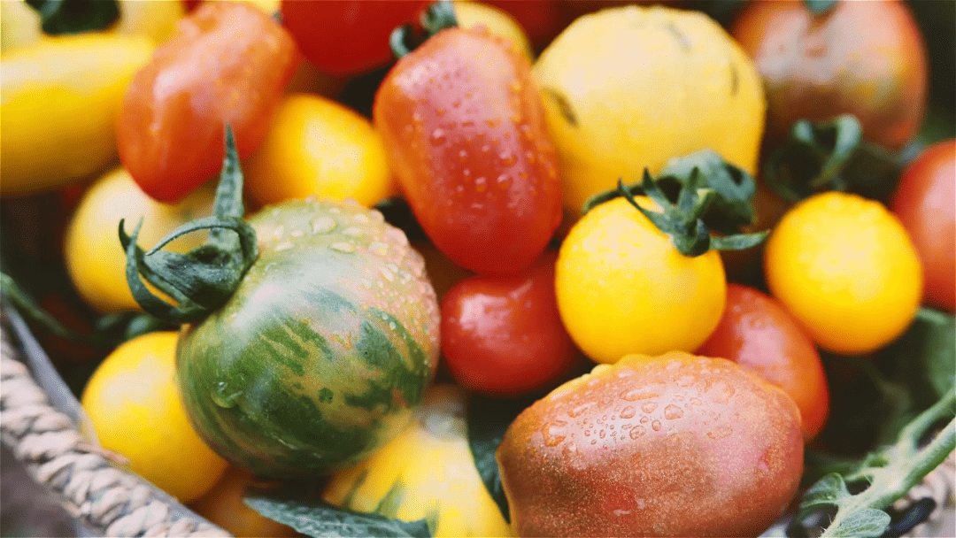 leobo_87's tweet photo. Just tried the new organic cherry tomatoes from the local farm—burst with juiciness, no weird aftertaste, and perfect for salads!  Highly recommend grabbing a pack if you spot them at the market. https://t.co/RuxWVdYR92