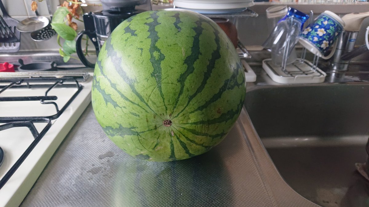 KawamataMail's tweet photo. 神奈川県産 三浦すいか🍉 大玉です。夏の風物詩のすいか🍉。お盆中の買い物に三浦すいか🍉大玉です。神奈川県産 すいか🍉ブランドの三浦すいか🍉は 、甘くて、みずみずしい特徴のある人気のすいか🍉ブランドです。 https://t.co/MWHbZqDgF9