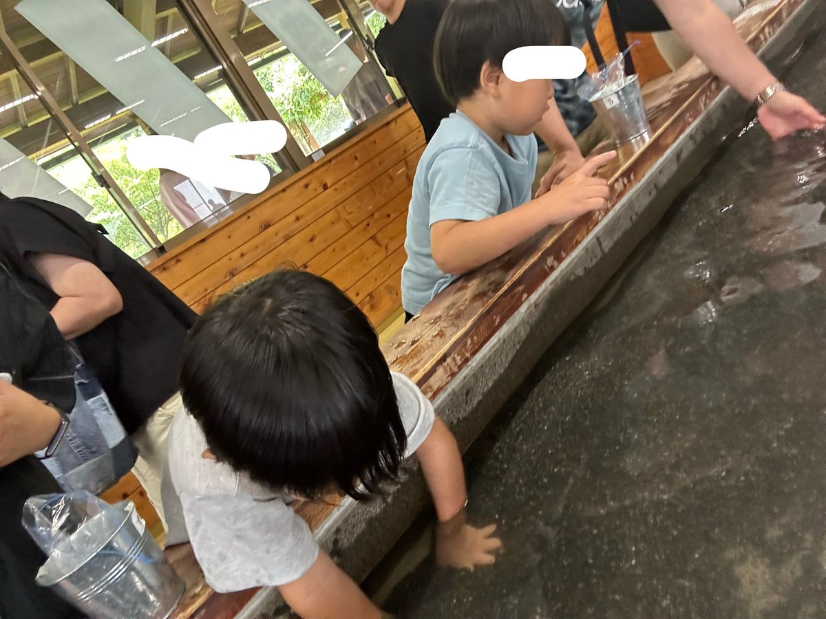 mitonxx's tweet photo. ぐらんぱる公園、修善寺ホテル、土肥金山で宝石探ししてきたー！ https://t.co/Gp6Zi6mJkl