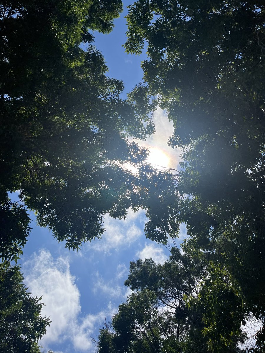 meowbandi's tweet photo. never forget to look up https://t.co/vdjQP4Fut1