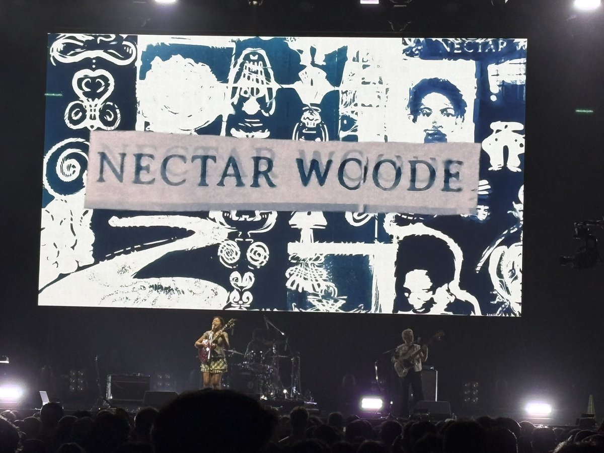 ingroove_7's tweet photo. NECTAR WOODE心地良すぎてちょっと眠くなりました(良い意味で) https://t.co/MeJ0X0BX1r