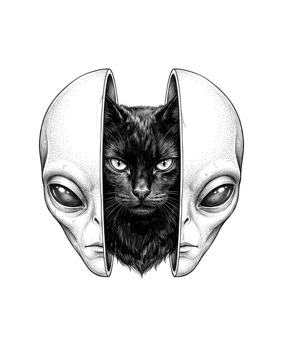 miniocular's tweet photo. https://t.co/xQn8e4rBvV