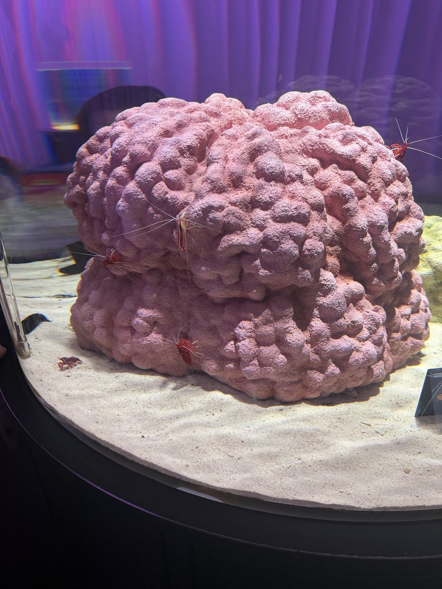 tokyobookmark48's tweet photo. ニフレルにて https://t.co/93Rsiao3AJ