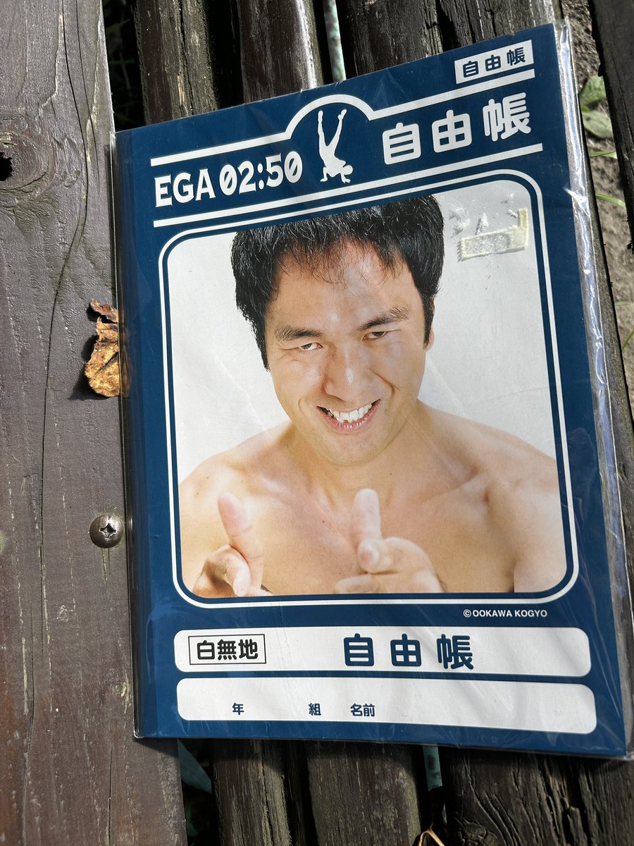 yaccimatte's tweet photo. ぐっさんからもらった江頭2:50の自由帳で絵を描いて欲しいと言われました。描かないとね。思った散歩の一日 https://t.co/zVk7ZeH18Z