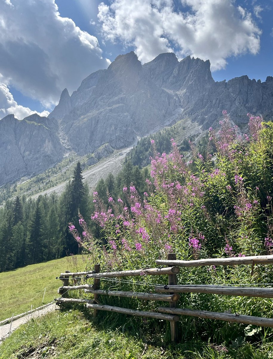 frav281's tweet photo. #CrodaRossa #AltoAdige #Montagna #vacanze #agosto 🩷 https://t.co/bBt2mjfKtF