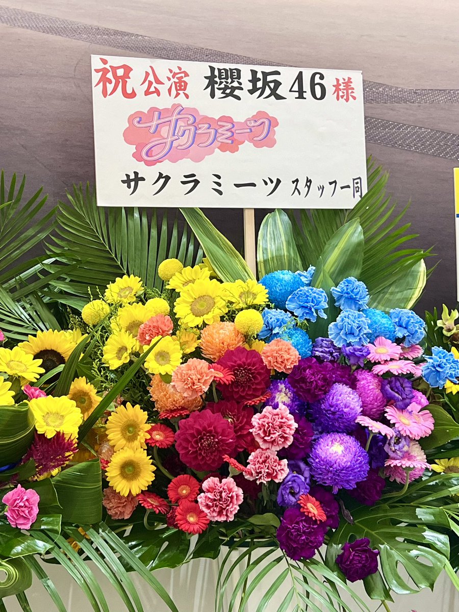 sakura__meets's tweet photo. /／
 
Sakurazaka46 ARENA TOUR 2026
-What’s lonesome?-千葉公演に
#サクラミーツ からお花を贈りました🌸
 
\＼
 
本っ当に最高でしたね…‼️❤️‍🔥
帰りのお供にぜひ #サクラミーツ🌸
 
TVer
▷https://t.co/QsOM5uCNZn
 
9/10🎫
▷https://t.co/htqzGLSfUM
#櫻坂46
#櫻坂46_Whatslonesome
#Sakurazaka46 https://t.co/MGBE0PPoeV