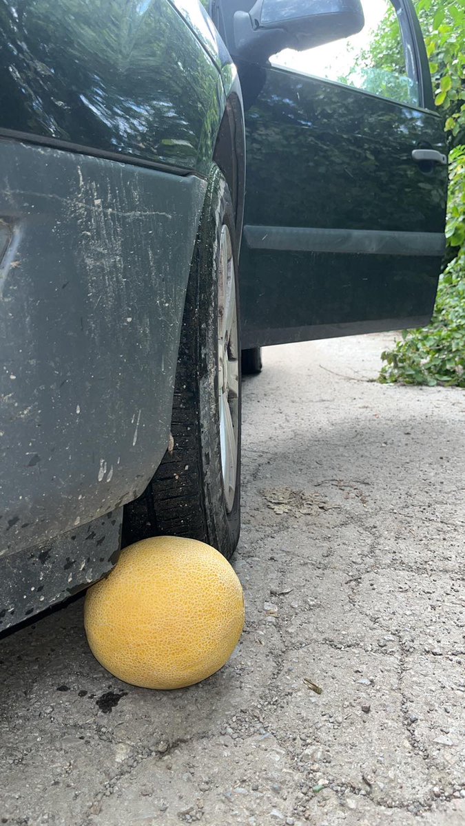 Ivorylux24's tweet photo. This melon is WAY bigger than the last one… 🍈🛞

Think the tire can crush it completely? 👀

Full video on my OF.

https://t.co/zSfOwwVBRj

#Crush #ShoeFetish https://t.co/iqqmg8K7WF