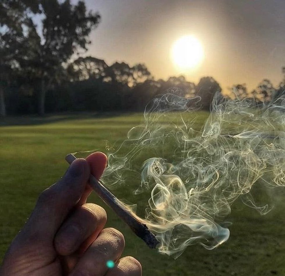 id707070's tweet photo. Wake up is a beautiful morning 🌿💨 https://t.co/pDTZKvY6rv