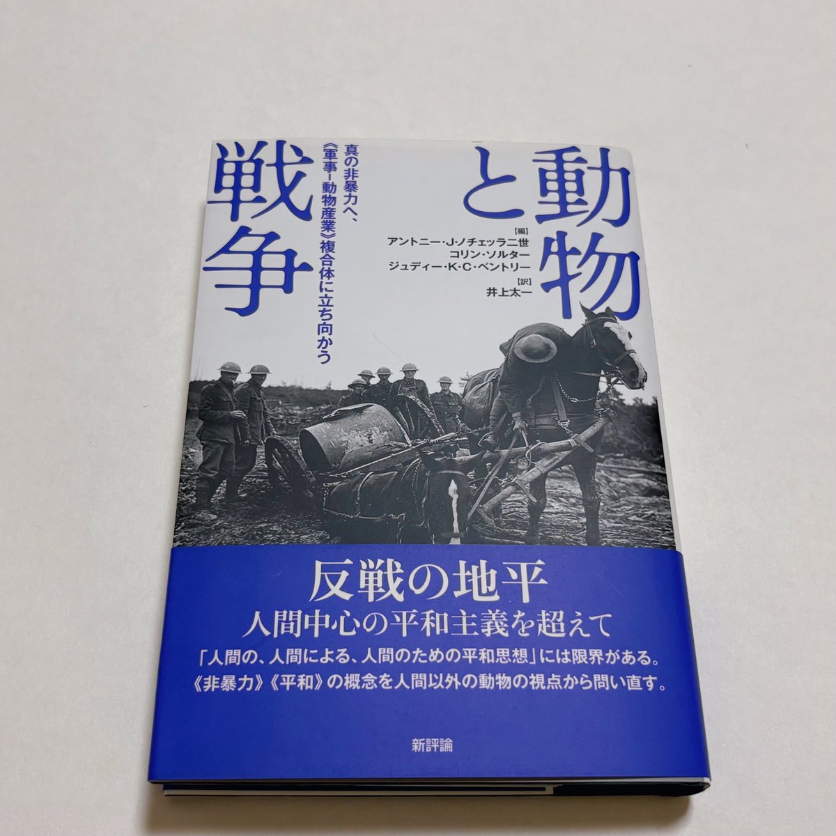 戦争で犠牲になるものに対する理解の欠落を埋める内容。 「平和」の