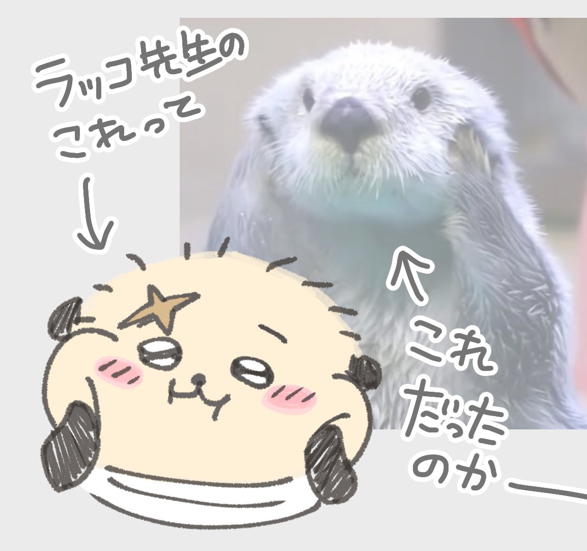 48_eleven's tweet photo. 最近ラッコ先生好きになったばっかりだから知らなかった…あのモーションかわいいなーとおもってたけど、リアルラッコがよくやってるやつだった…🦦

#ちいかわファンアート #ちいかわ https://t.co/8ulX3z3qFO