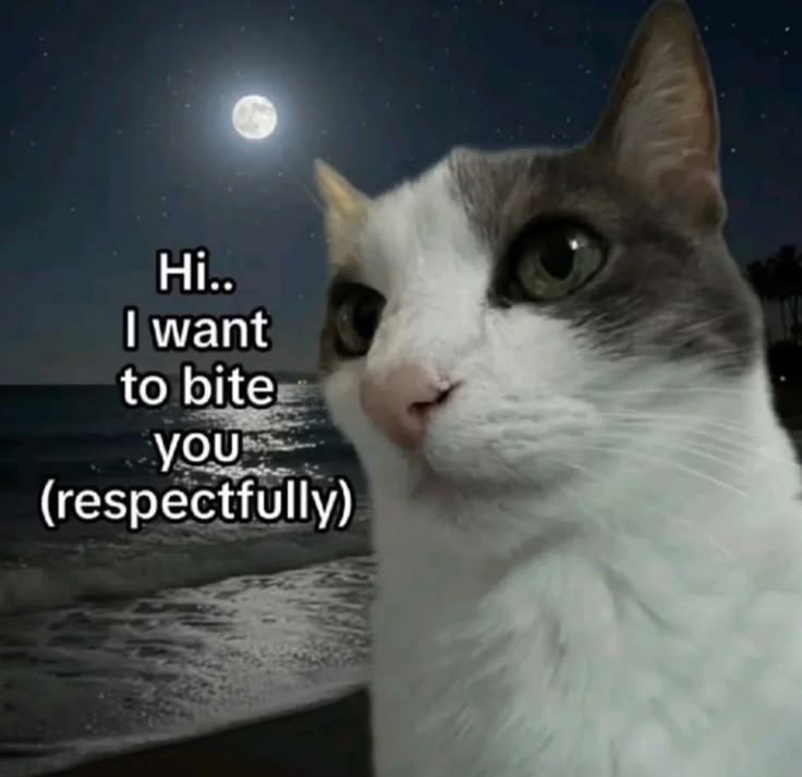 sillymeow4u's tweet photo. https://t.co/uuByLn7qCG