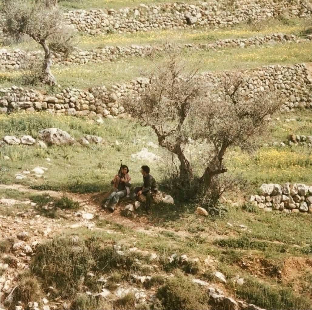 Iman4ii's tweet photo. Palestine https://t.co/ZKlvsyR32v