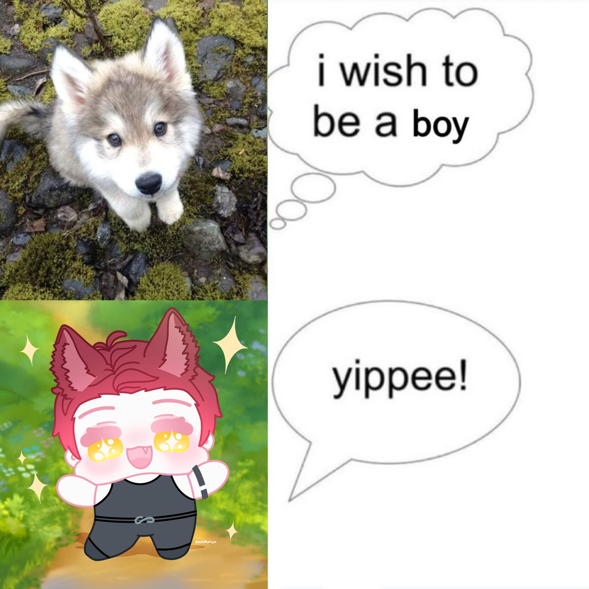 sunflowezie's tweet photo. happy wolfie ! 🐺🍫 #valko https://t.co/rO6aqNxj1h
