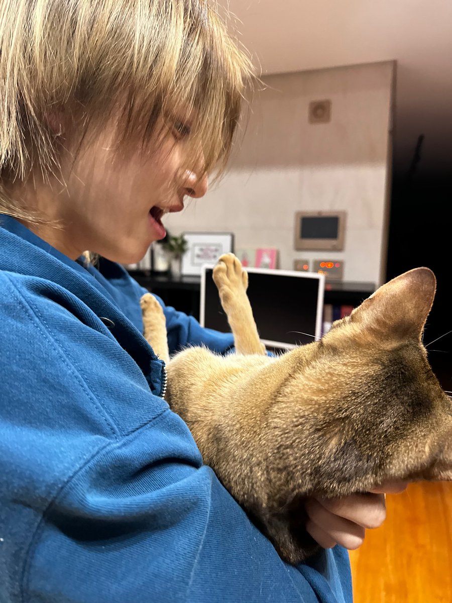 morelove_kr's tweet photo. 🐱  🐶 https://t.co/r8RvDTl9AL