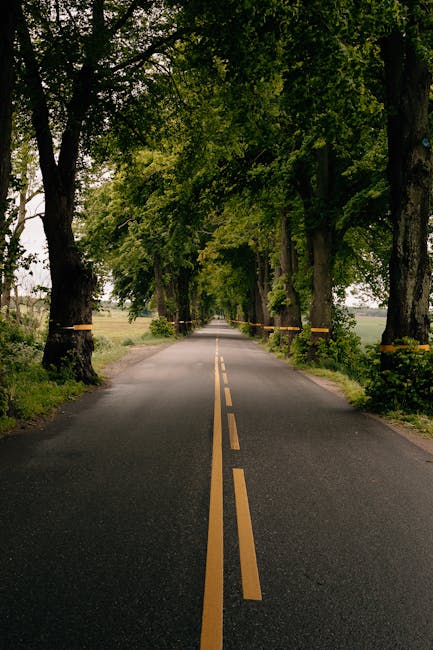JeffereyTeev's tweet photo. Leo nonstop with James Daniel Eleanor Sebastian Laughing and jenine herrandez💅 https://t.co/beJNYXrF9l