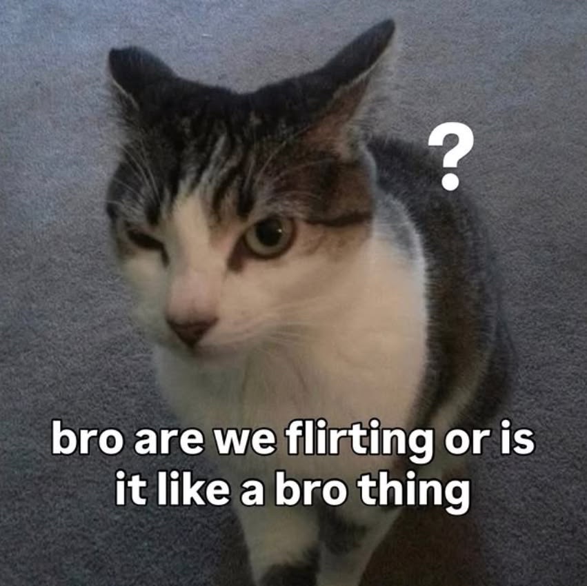 sillymeow4u's tweet photo. https://t.co/CjdQDZniVG