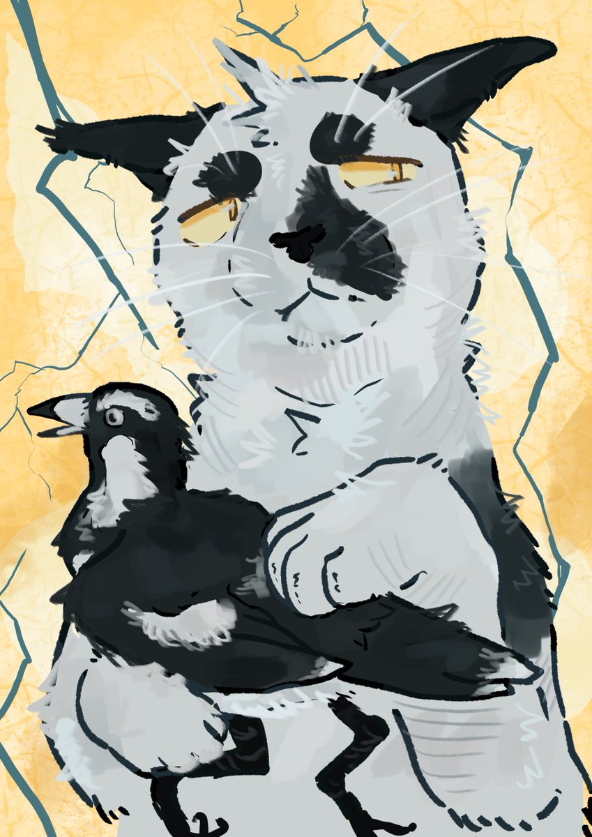 beebsle's tweet photo. peeweeflight 
#warriorcats https://t.co/od9lkBFwVb