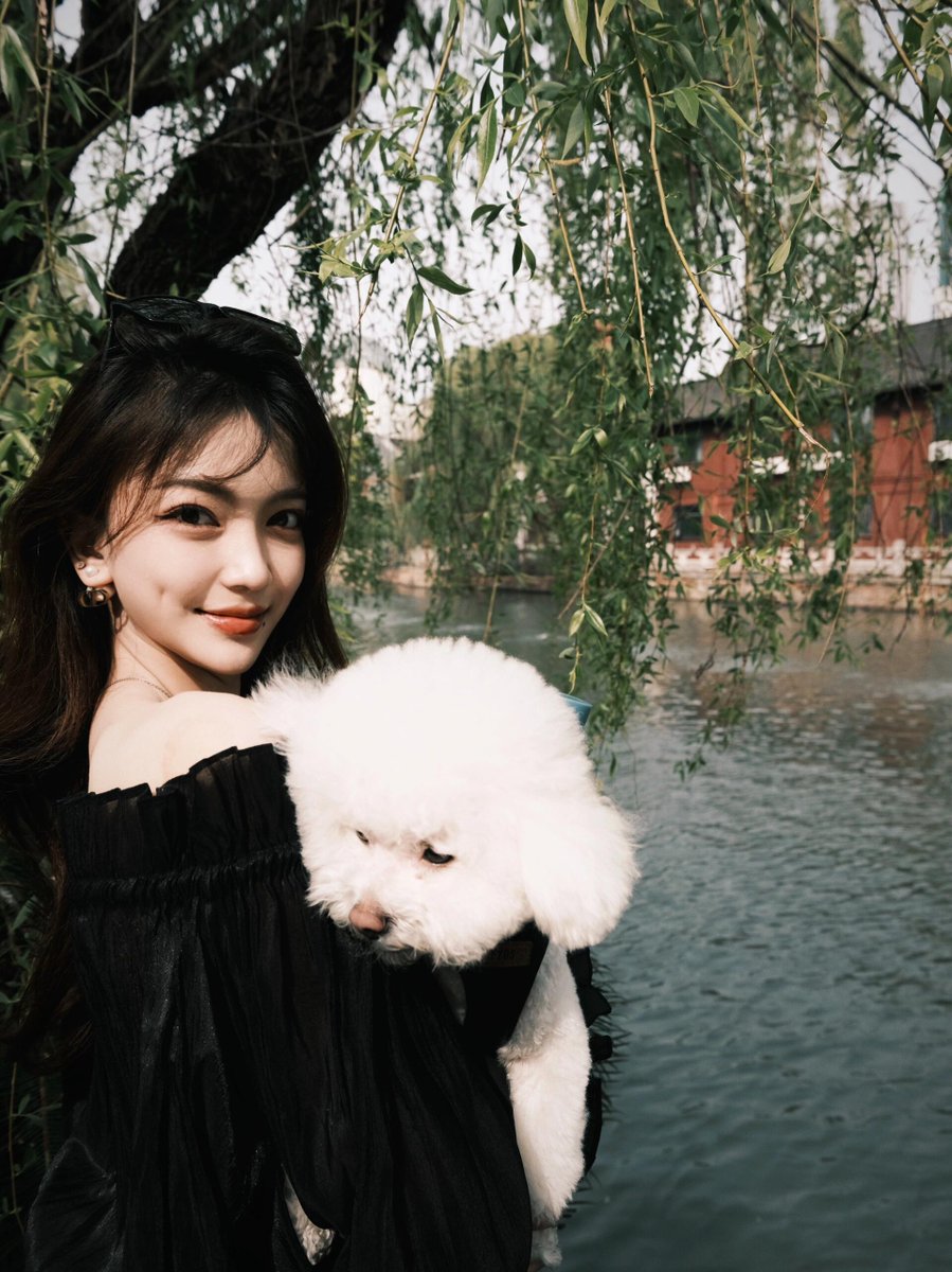 Yirudx2's tweet photo. The best companion for an outing. 🐾 Nothing is more healing than this serenity. A touch of dark, a hint of sweet, and overflowing love. ✨

#DogMom #DailyLife #OutAndAbout #CozyMoments https://t.co/fVEjbd144S