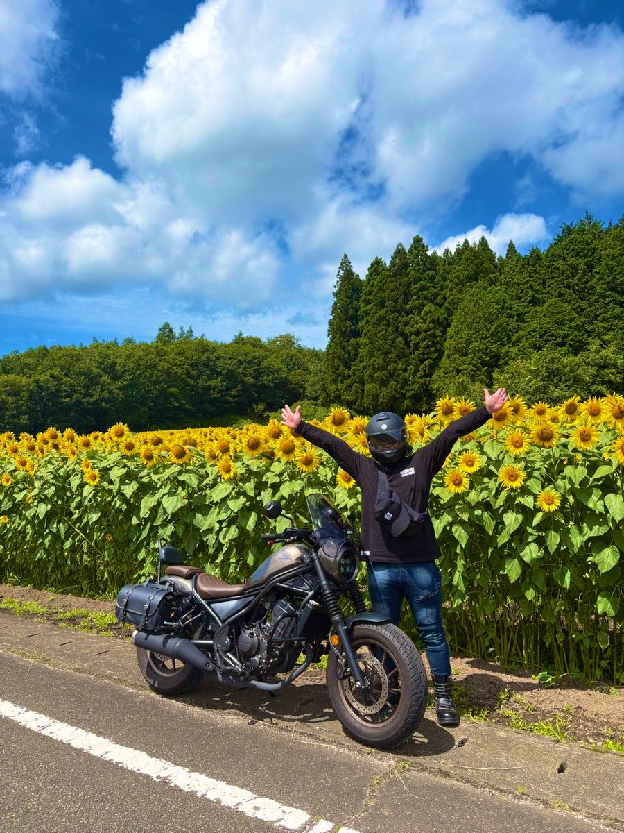 bunbun738's tweet photo. 完全に映え🌻🏍️

#レブル250
#rebel250
#バイク
#愛車
#ツーリング
#ひまわり
#ひまわり畑
#ツーリング https://t.co/csWrDeHhkq