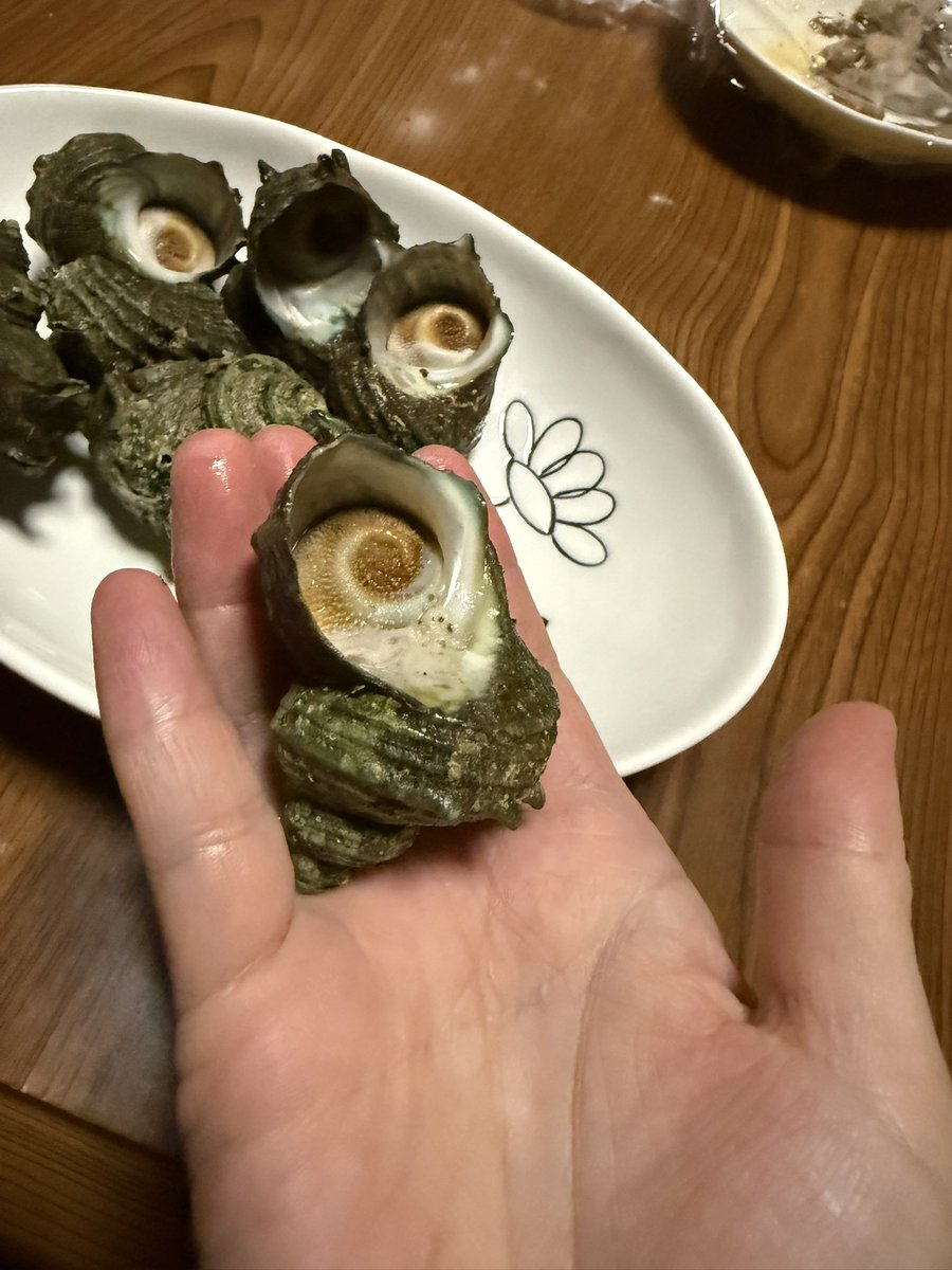 tomozow55sky's tweet photo. サザエ〜✨✨✨

会社の同僚の旦那さんが素潜りで取ったんですって！

食べきれないからって会社持っていけ〜✨って事で貰っちゃいました😊

このサイズ、今年は小ぶりらしいです😂

何気に貰うの2回目です🥰 https://t.co/9x9rR5aGoh