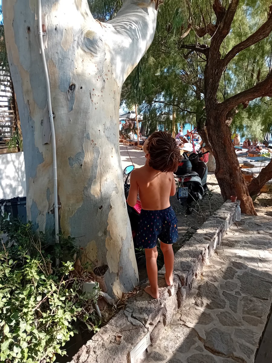 6_evi4's tweet photo. Σε μια ακρογιαλιά της Αίγινας άνευ σχολίων... https://t.co/tvayZL3RHv