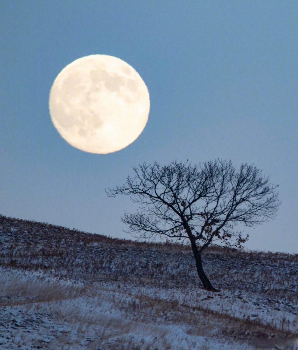 RealReelbasebal's tweet photo. The full moon is up, and the Mid-Autumn Festival vibes are in the air—gathering with loved ones, munching on mooncakes, and sharing warm wishes  #MidAutumnFestival， https://t.co/8h1bQCZxhC
