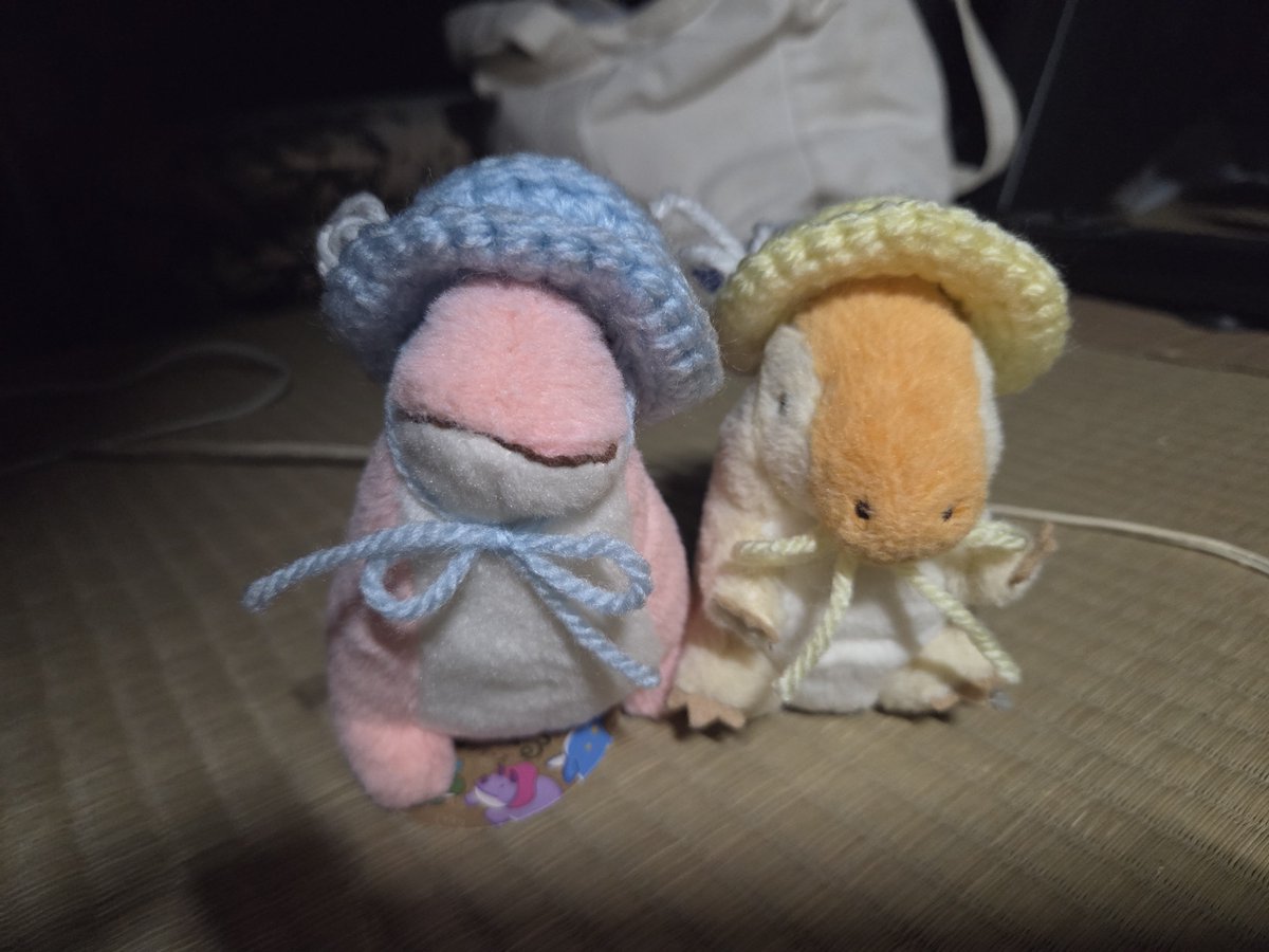 Me3Cu's tweet photo. さすがにかわいい https://t.co/ZdkB1NHHTl
