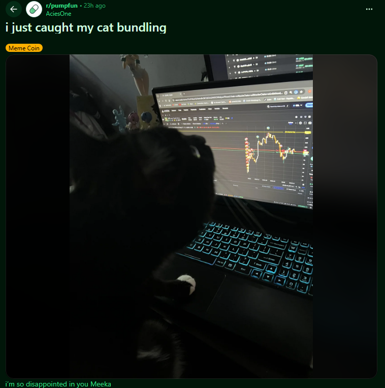 brucelros134's tweet photo. Isn't this perfect? 

There is a new post in r/pumpfun of a cat named "Meeka" bundling a coin? 

We had cashcat on Robinhood, but no runner on Solana. 

Bundlecat on Solana? Thats literally perfect.

https://t.co/6IgYLaYmmp https://t.co/eqXBjbclgH