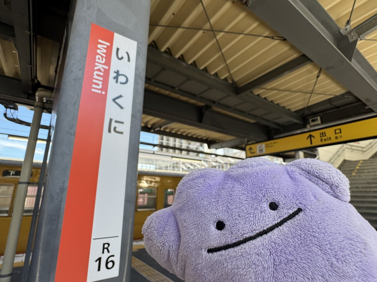 metamon_tabi's tweet photo. #メタモン
#ポケモンfit
#青春18きっぷ
\ﾝﾓﾓﾝﾓ!/ https://t.co/1nm3LzEVrc