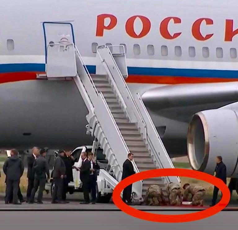 rshereme's tweet photo. No president in history has humiliated the U.S. military like Trump. First, he had U.S. soldiers on their knees rolling out a red carpet for the war criminal Putin. Then, he used our troops carelessly to start the most bizarre war with Iran. And then he lost that war through staggering incompetence.

I have tremendous respect for American soldiers. And I am ashamed that a draft dodger is humiliating them like this.
