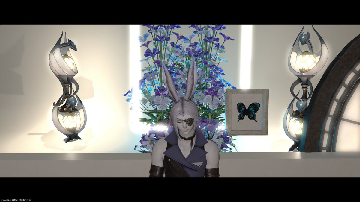 limn5935's tweet photo. #Effetestudio
#異光の夜会

🦋 https://t.co/BWcFkWxAXf