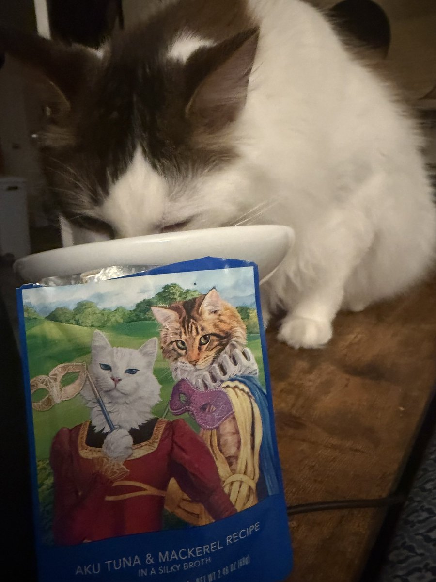 fumikoin's tweet photo. ジャケ買いしたキャットフードが好評過ぎ。
　高い(1パック$3.25)からあんまり買えないけどね。 https://t.co/EDht9C701t