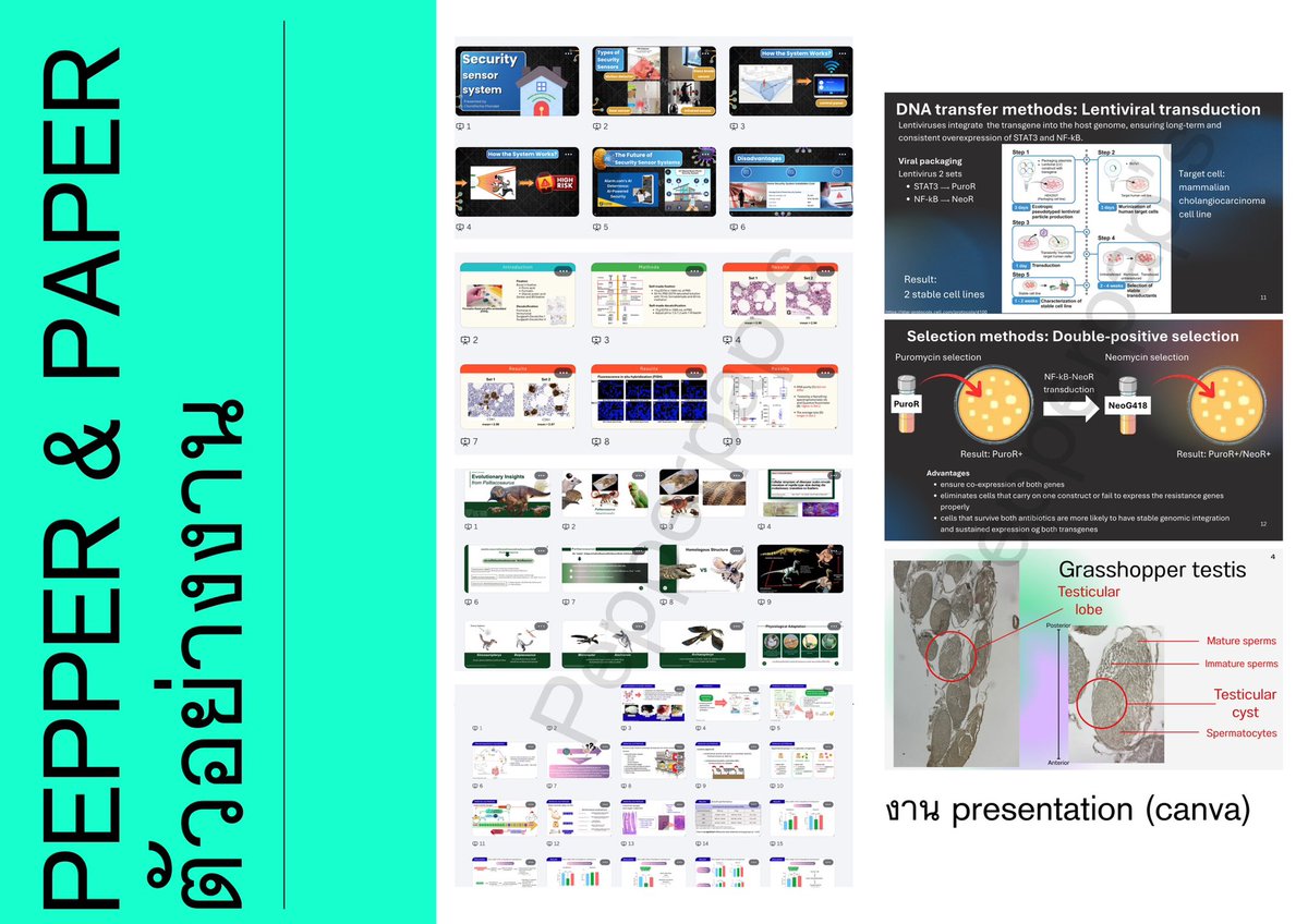 wonderhowulook's tweet photo. รับทำงาน/การบ้าน
- งานเอกสาร
- presentation/ poster
- พิมพ์งาน พิมพ์โจทย์ เขียนงาน (goodnotes/ กระดาษรายงาน)
- ทำโจทย์ชีวะ อังกฤษ

สอบถามเพิ่มเติมทางไลน์เลยนะคะ😸 #รับทำการบ้าน https://t.co/dt7w2y6ejt