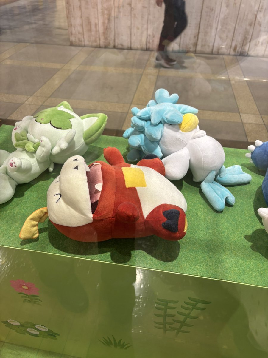 spart475's tweet photo. クワッスの後ろ姿、あまりにもクヌギダマすぎるな https://t.co/5TCvo4mKmr