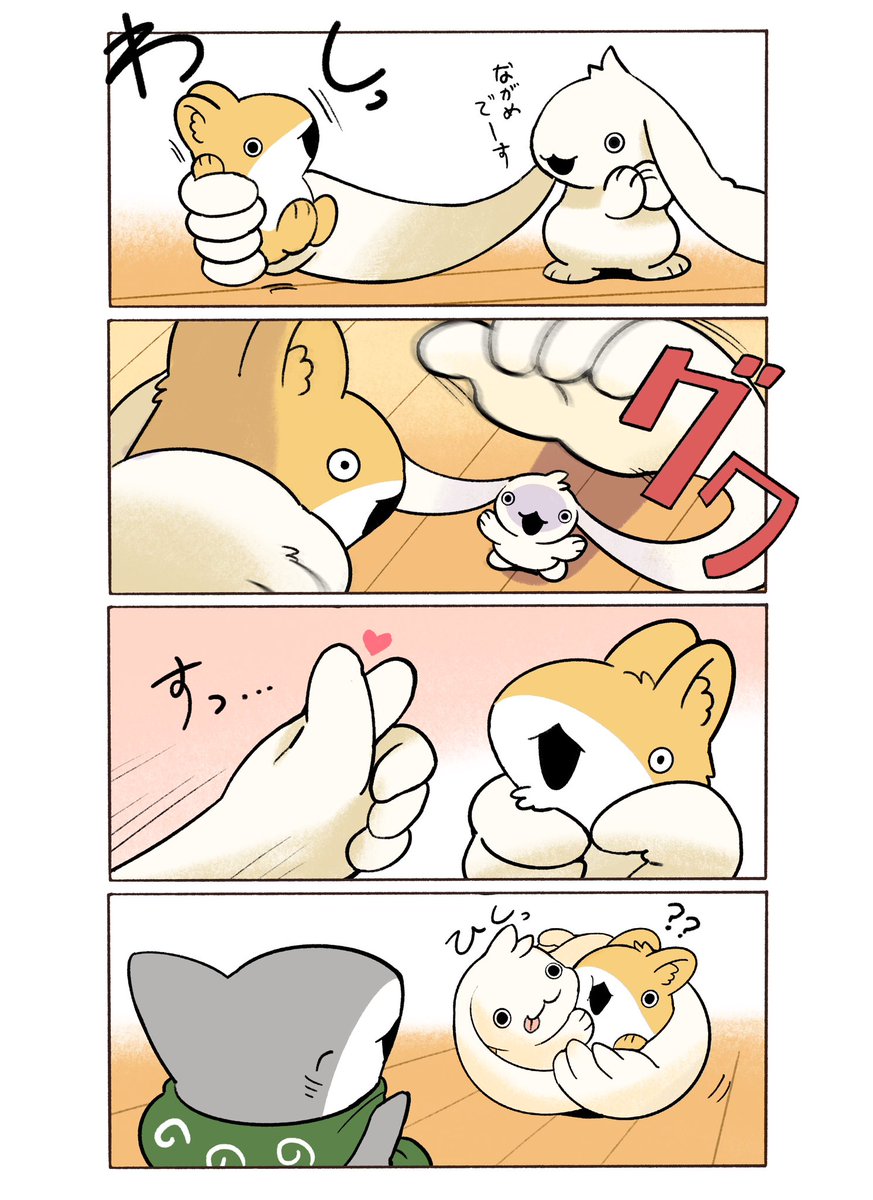 Penguinbox1's tweet photo. ながめちゃん https://t.co/cmztVmfd7w