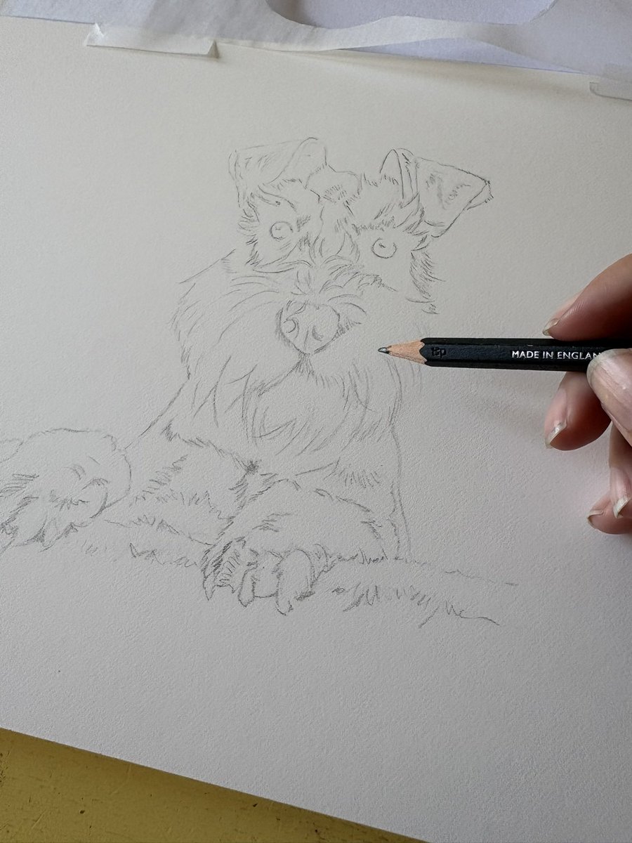MeganArtUK's tweet photo. Here is the start of a new portrait which I have just sketched out here! The eagle eyed among you will recognise this lovely schnauzer as Skye, my dog Frida’s best friend!
#miniatureschauzer #miniatureschnauzers #graphite #graphitedrawing #dogdrawing https://t.co/vTgk0sHa45